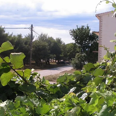 Biograd