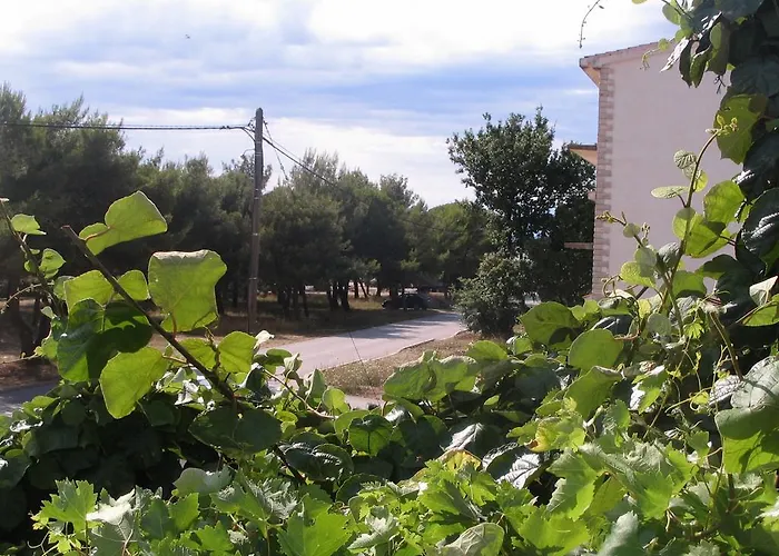 Biograd
