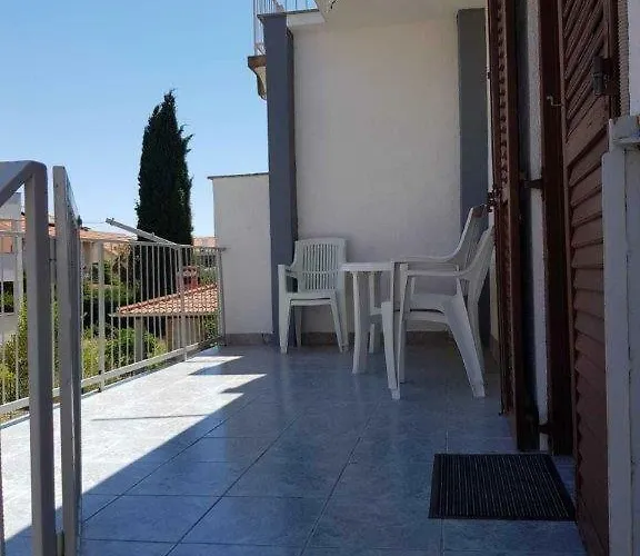 拜欧格拉德公寓 公寓 *